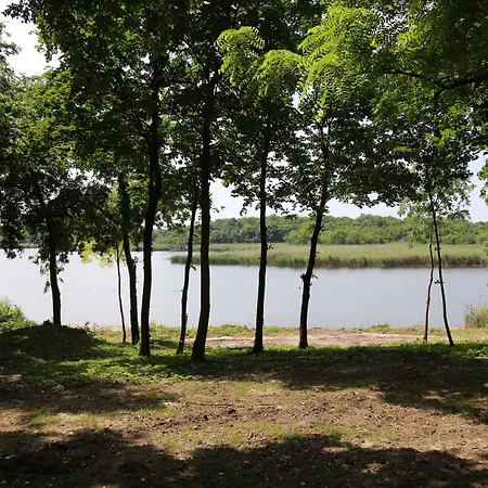 ホテル Miznah & 4*