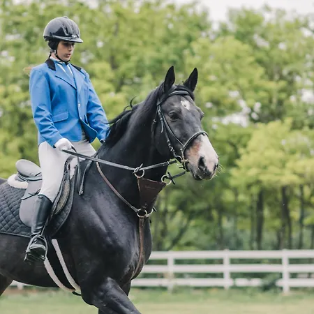Miznah & ホテル バーチュカ・トポラ