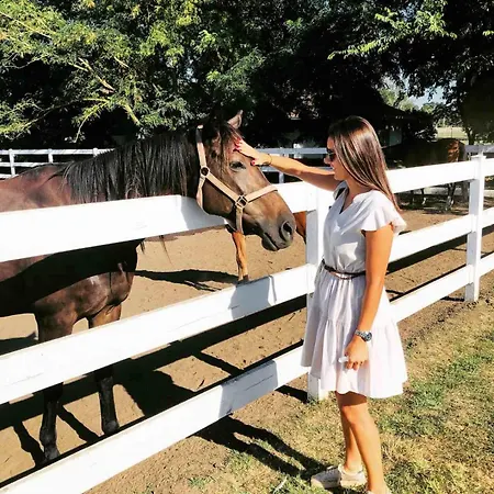 Miznah & 4* バーチュカ・トポラ