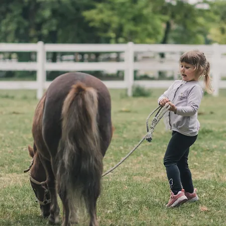 Miznah & 4* バーチュカ・トポラ