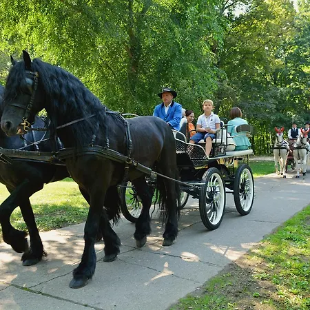 Miznah & 4* バーチュカ・トポラ