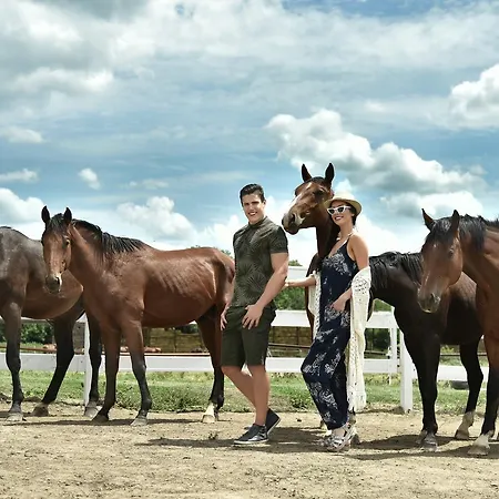Miznah & ホテル バーチュカ・トポラ