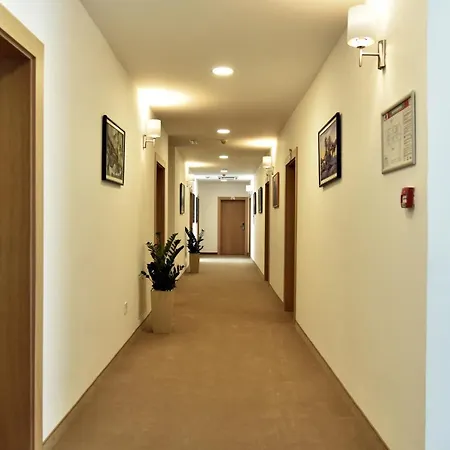 Hotel Miznah & 4*